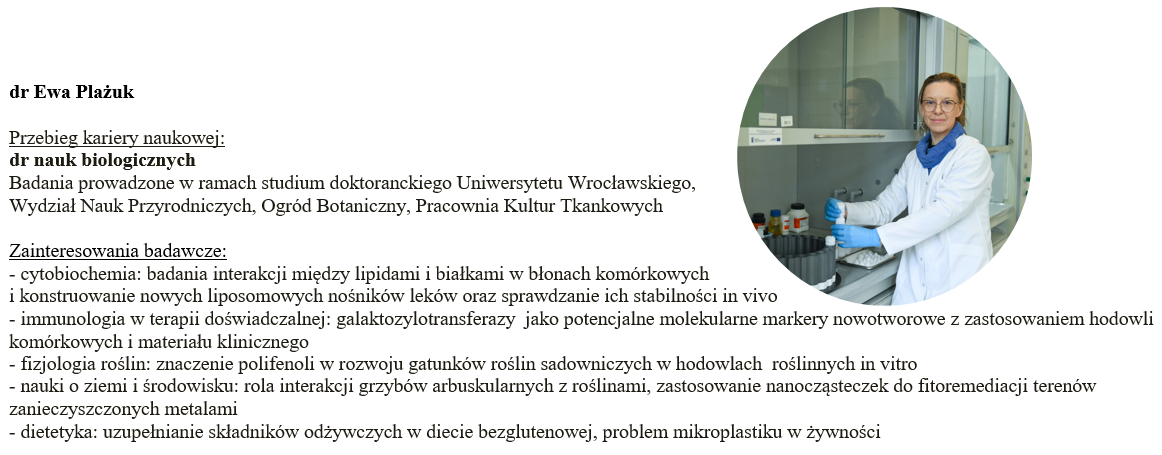 zrzut_ekranu_2024-10-10_140123.png