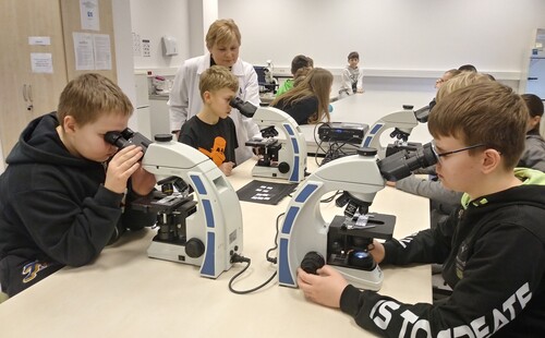 Microbiology workshops with Primary School Students